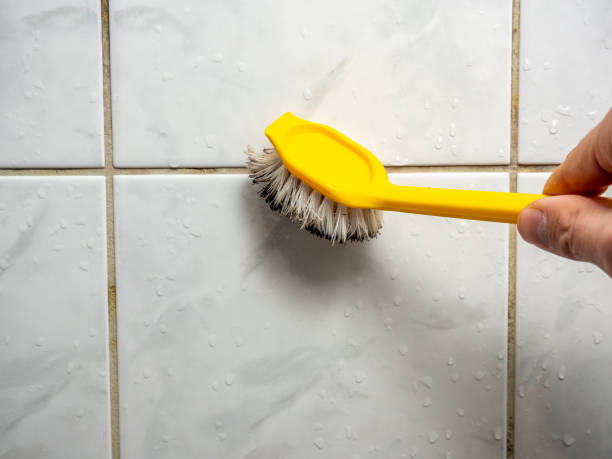 Professional Mold Remediation in Lantana, TX