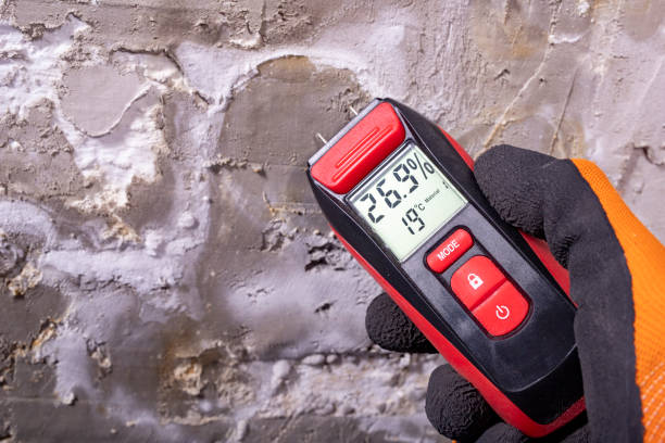 Best Commercial Mold Remediation in Lantana, TX