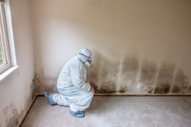 Lantana, TX Mold Remediation Company